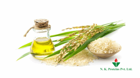 What is Rice Bran Oil & Its Benefits
