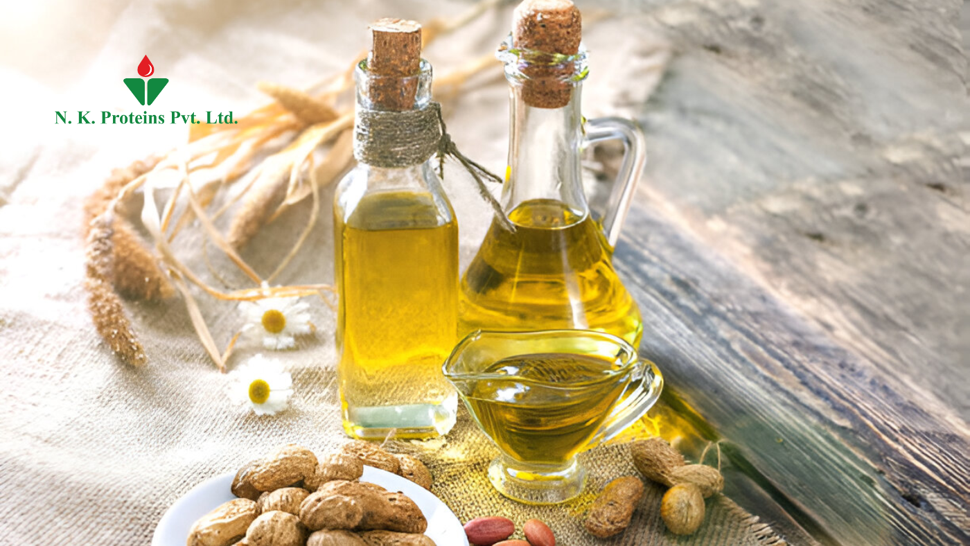 Groundnut Oil