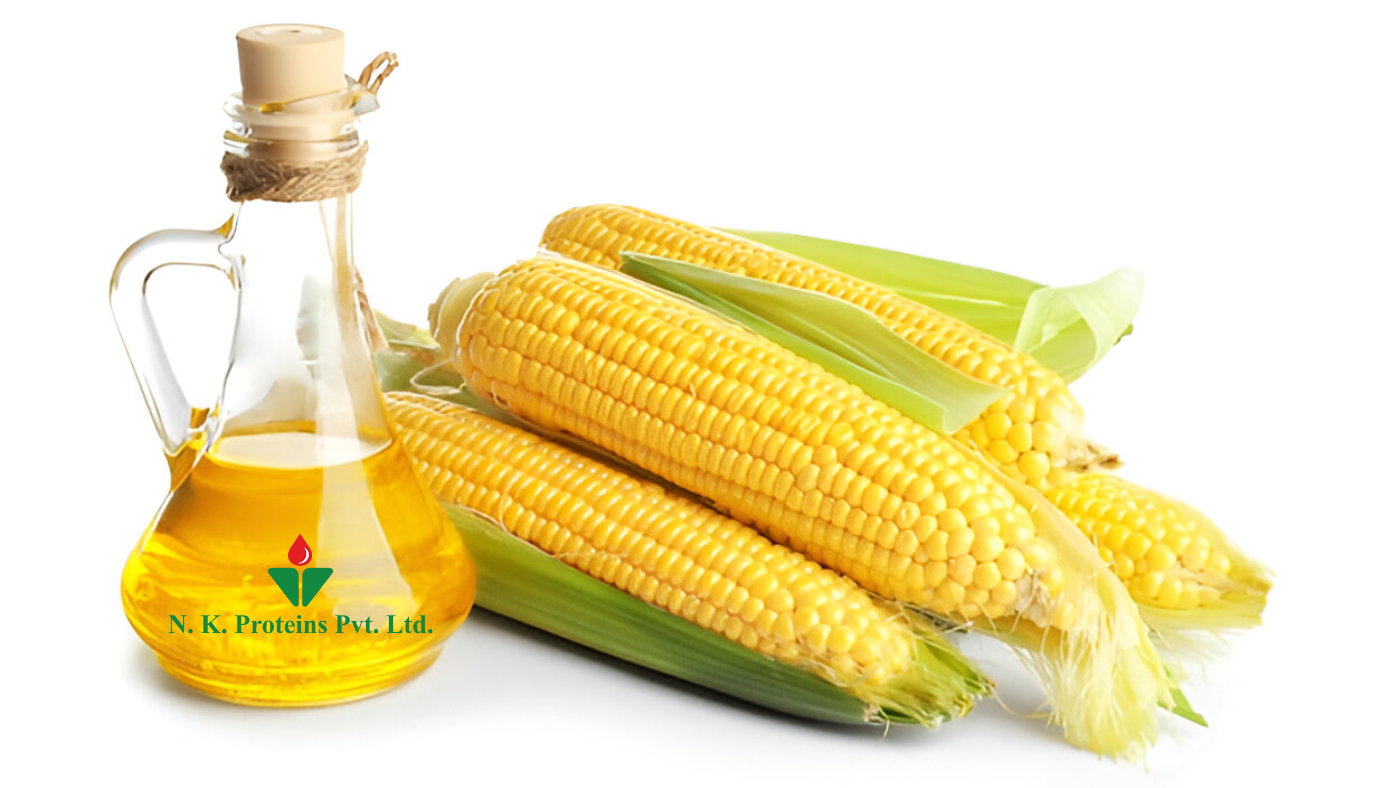Corn Oil