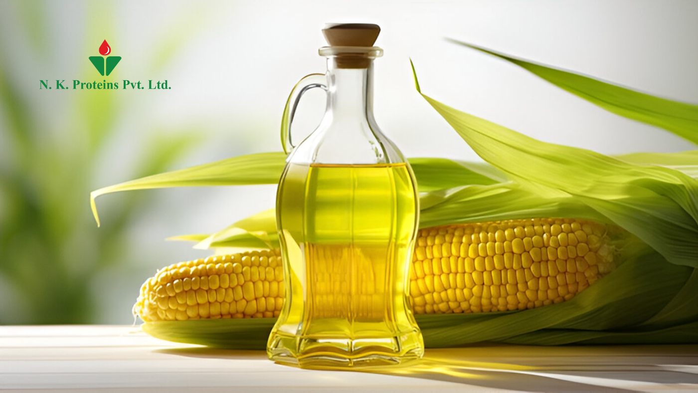 Corn Oil