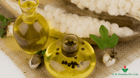 Is Cottonseed Oil Healthy? An Honest Guide for Everyday Cooking in India