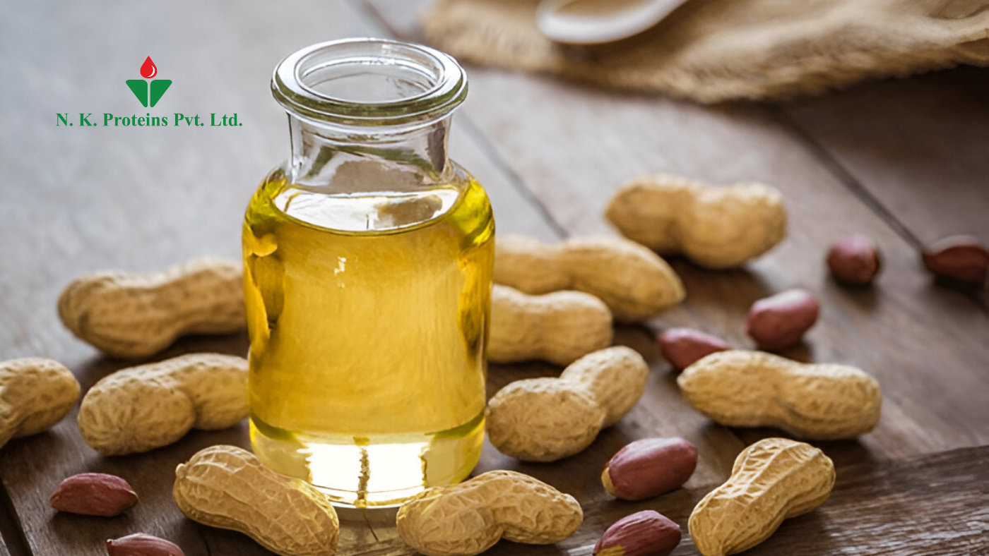 Groundnut Oil
