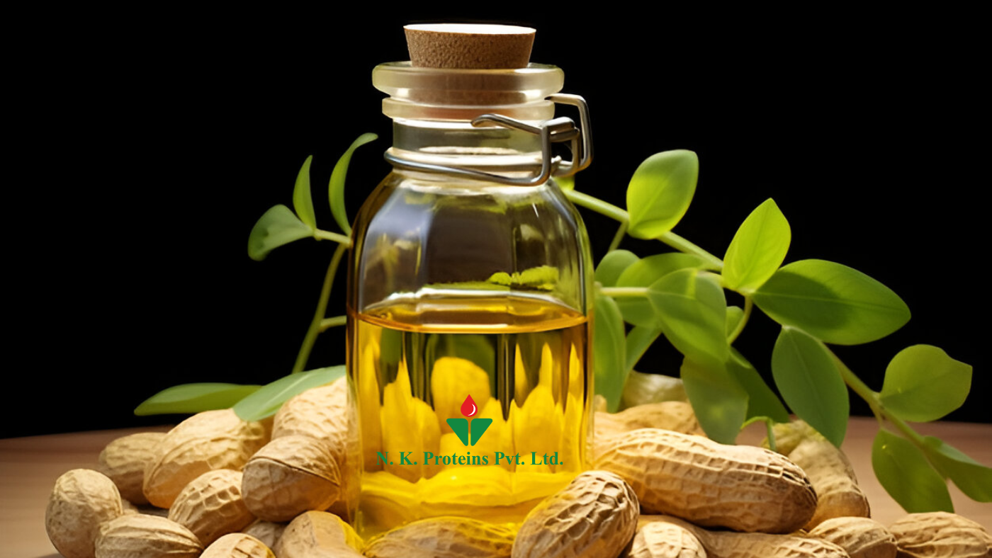Groundnut Oil