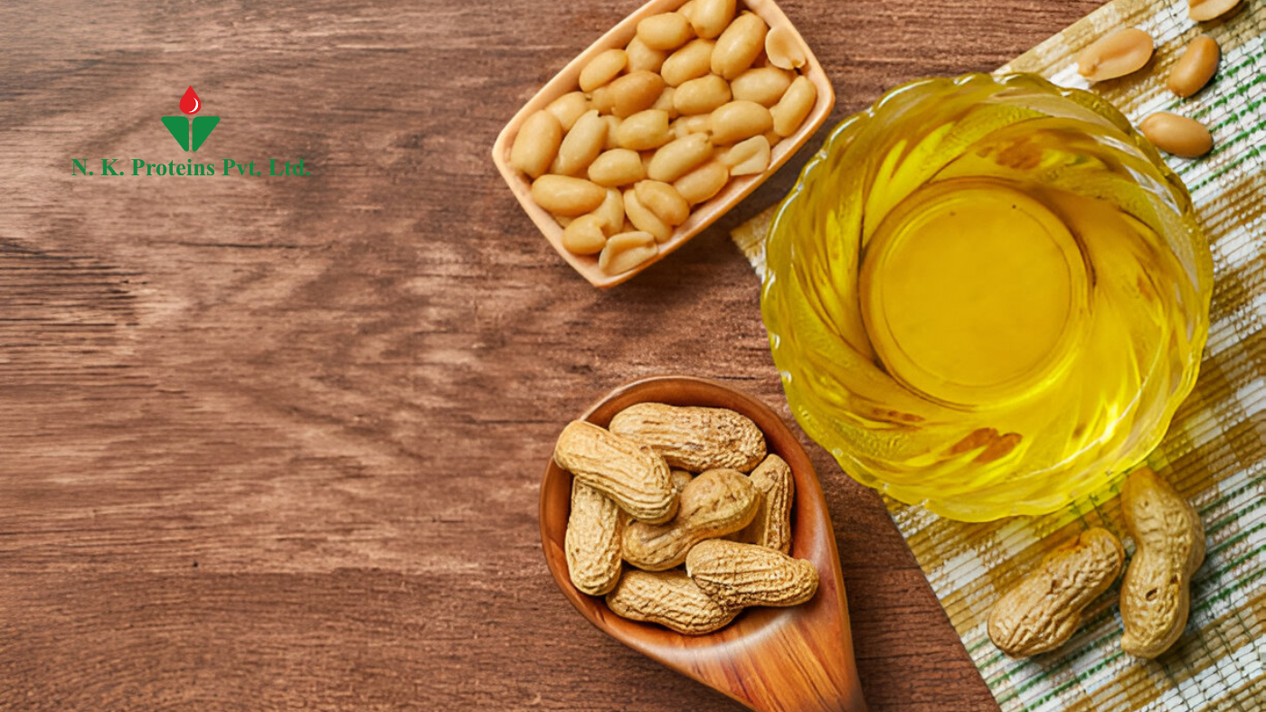 Groundnut Oil