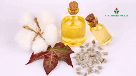 Is Cottonseed Oil Healthy? An Honest Guide for Everyday Cooking in India