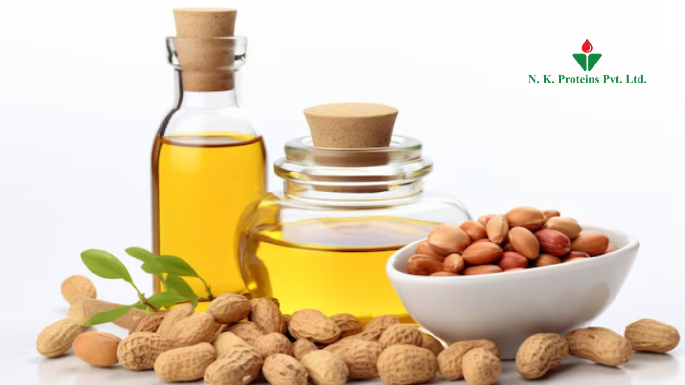 Two glass bottles of golden groundnut oil, surrounded by whole and shelled peanuts, with a white bowl filled with peanuts, representing healthy cooking oil