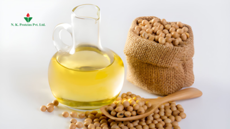 The Role of Soyabean Oil in Bone Health